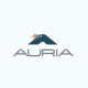 Auria Solutions Straubing GmbH & Co. KG
